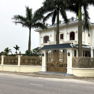 cong-nhom-duc-mai-hoa-rong-VGP-02